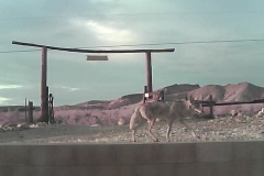 13_f2e21adf472048efc360a1925fc2c951