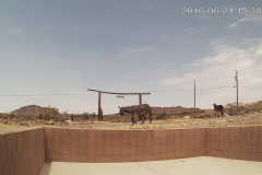 15_12199a7d831324ab73215cb0f2081d54