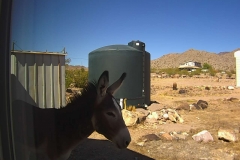 15_248ab97badcce3e6862fd30ffd5cc80f