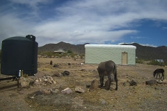 15_256a0be015077c986f4ce20917cb7d02