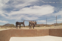 15_275de6a505f937218ba0dd1dc479c34c