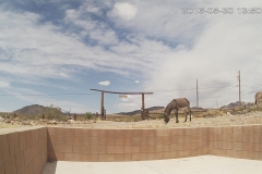 15_30f09578288cca1029d9a1f8f3bc99dd