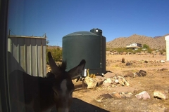 15_4ae45e443af59023c420b1063dda6cca