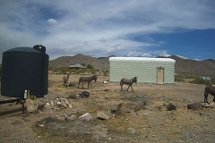 15_52cf98b3e287ab42e889787fa74c7587