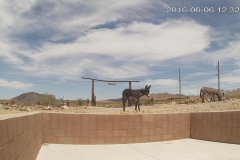 15_5352bf0f07468399acf8c6741cc3878f