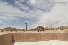 15_5cf23ecdb2bd7aa8861aee0d0af933a3