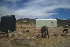 15_68fb90b38cb6e2065e2b5434f6382b1b