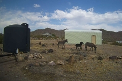 15_7286a4a33886197af1056a26d1cf0120