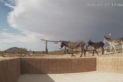 15_75550ad16e53498ba0e73313e9dd4f27