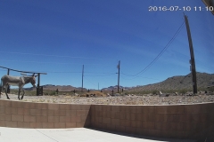 15_9ddd38395474ca7937179152120773c7