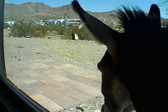 15_dbb649e8cfade98c139d50dcf8227825