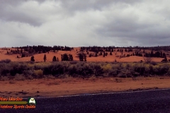 Coral-Pink-Sand-Dunes-12-10-2021-mpv-shot0001