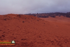 Coral-Pink-Sand-Dunes-12-10-2021-mpv-shot0002
