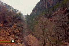 Emerald-Pools-Trail-Waterfall-Zion-Pocket2-12-07-2021