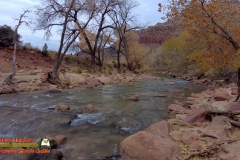 Hiking-Parus-Trail-Virgin-River-Zion-Pocket2-12-07-2021-mpv-shot0002