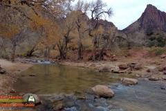 Hiking-Parus-Trail-Zion-Pocket2-12-07-2021-mpv-shot0001