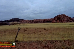 Kolob-Terrace-Rd-Zion-Pocket2-12-07-2021