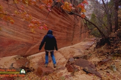 Many-Pools-Trail-Zion-Paulette-Pocket2-12-09-2021