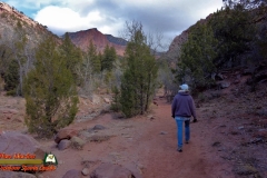 Taylor-Creek-Trail-Kolob-Canyons-Zion-National-Park-Pocket2-Paulette-12-10-2021-mpv-shot0003