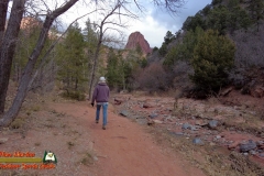 Taylor-Creek-Trail-Kolob-Canyons-Zion-National-Park-Pocket2-Paulette-12-10-2021-mpv-shot0004