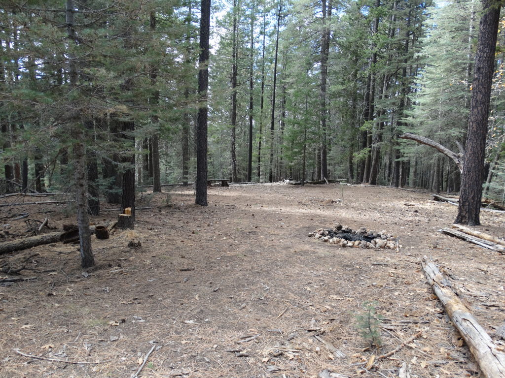 Site where Dennis died