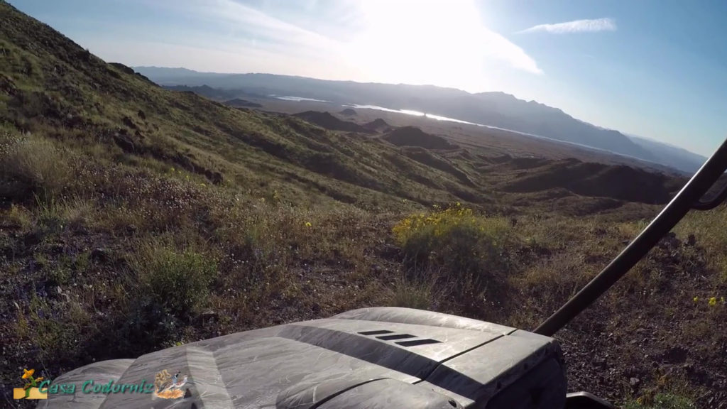 Mohave Lakeview Overlook Trail