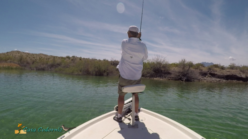 Smallmouth Bass Fishing Hookset