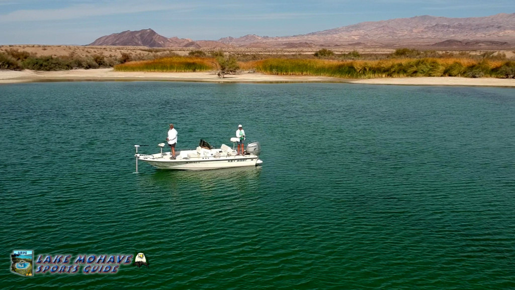 Bass Fishing Lake Mohave