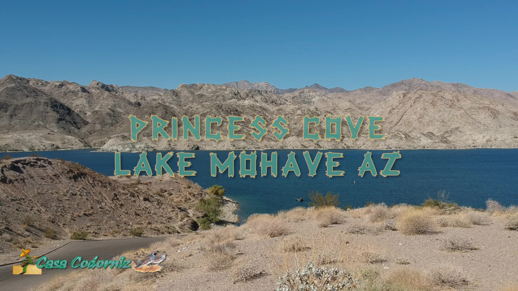 Princess Cove Launch Ramp and Picnic Spot at Lake Mohave