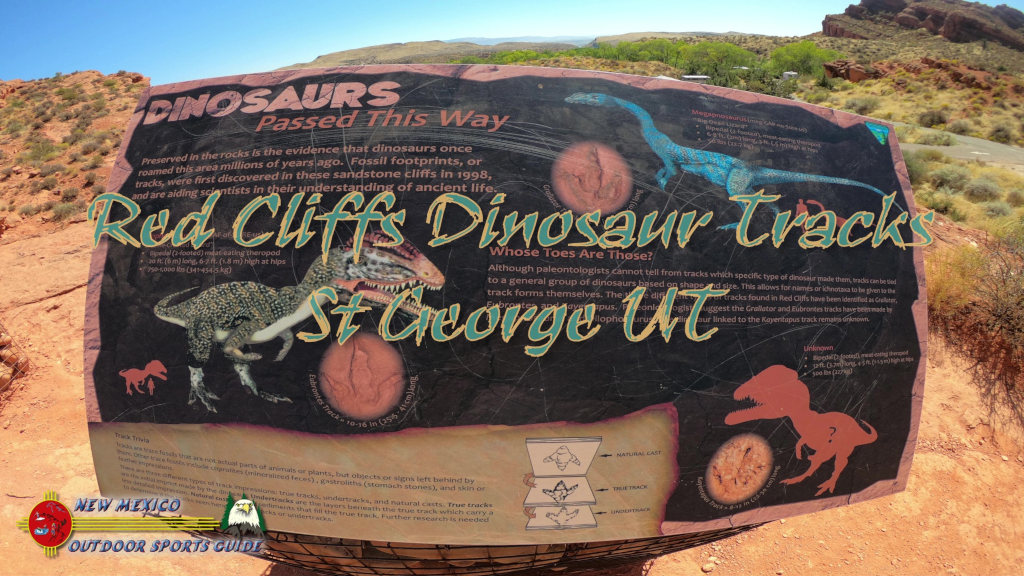 Red Cliffs National Conservation Area Dinosaur Tracks