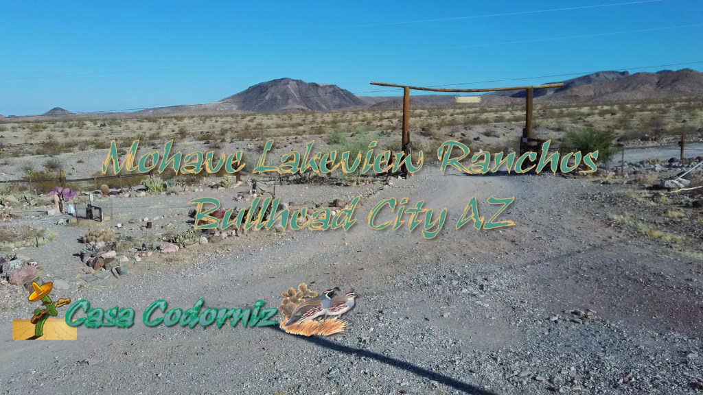 ATV Trails Near Lake Mohave