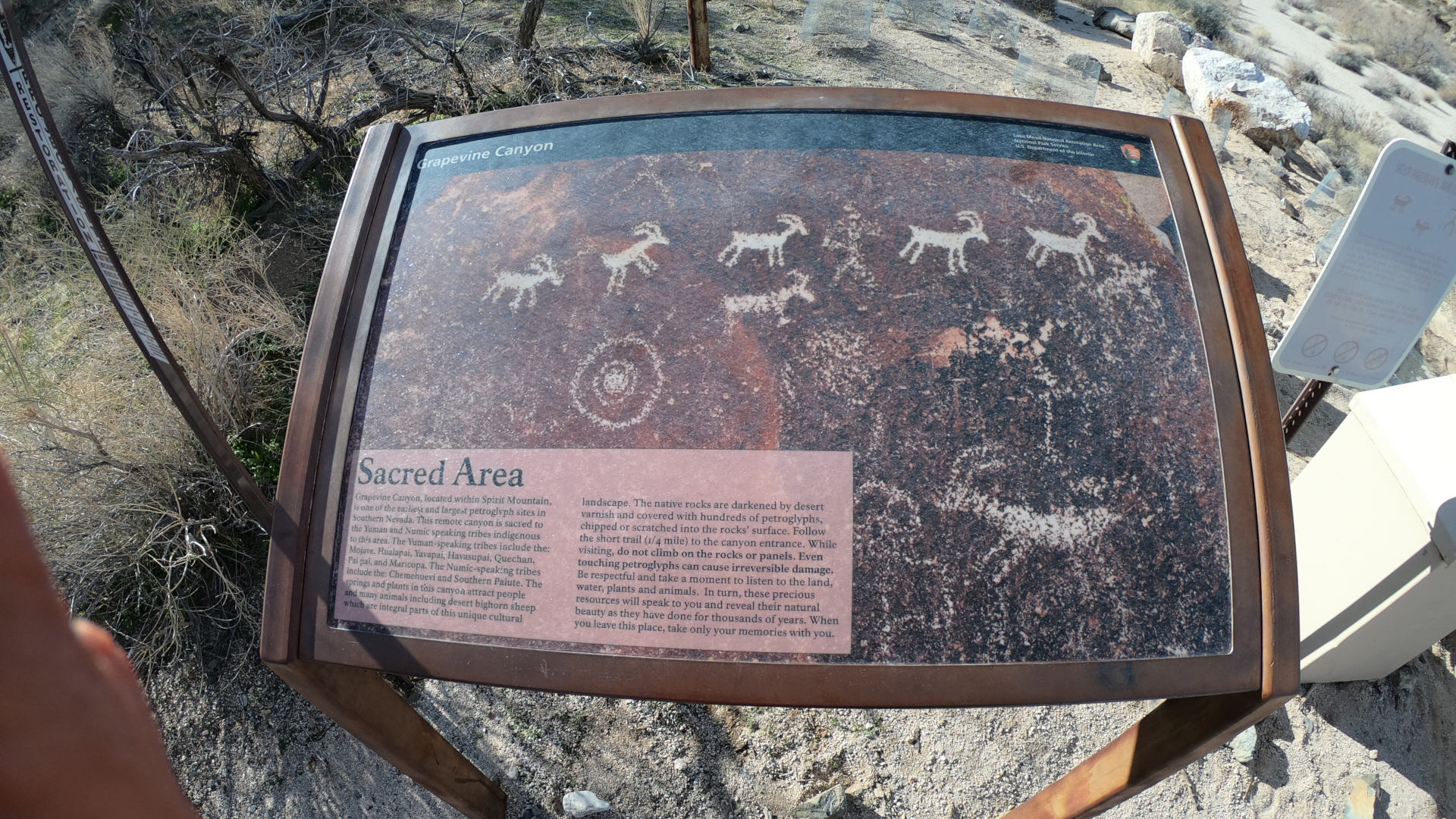 Grapevine Canyon Petroglyphs