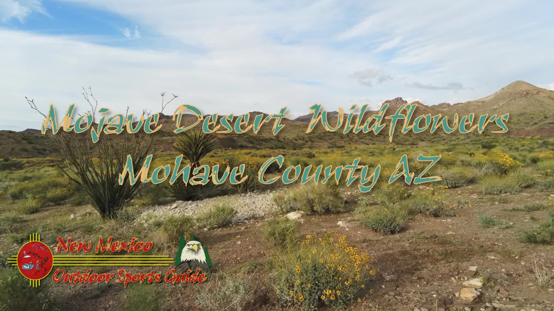 Mojave Desert Wildflowers Anafi