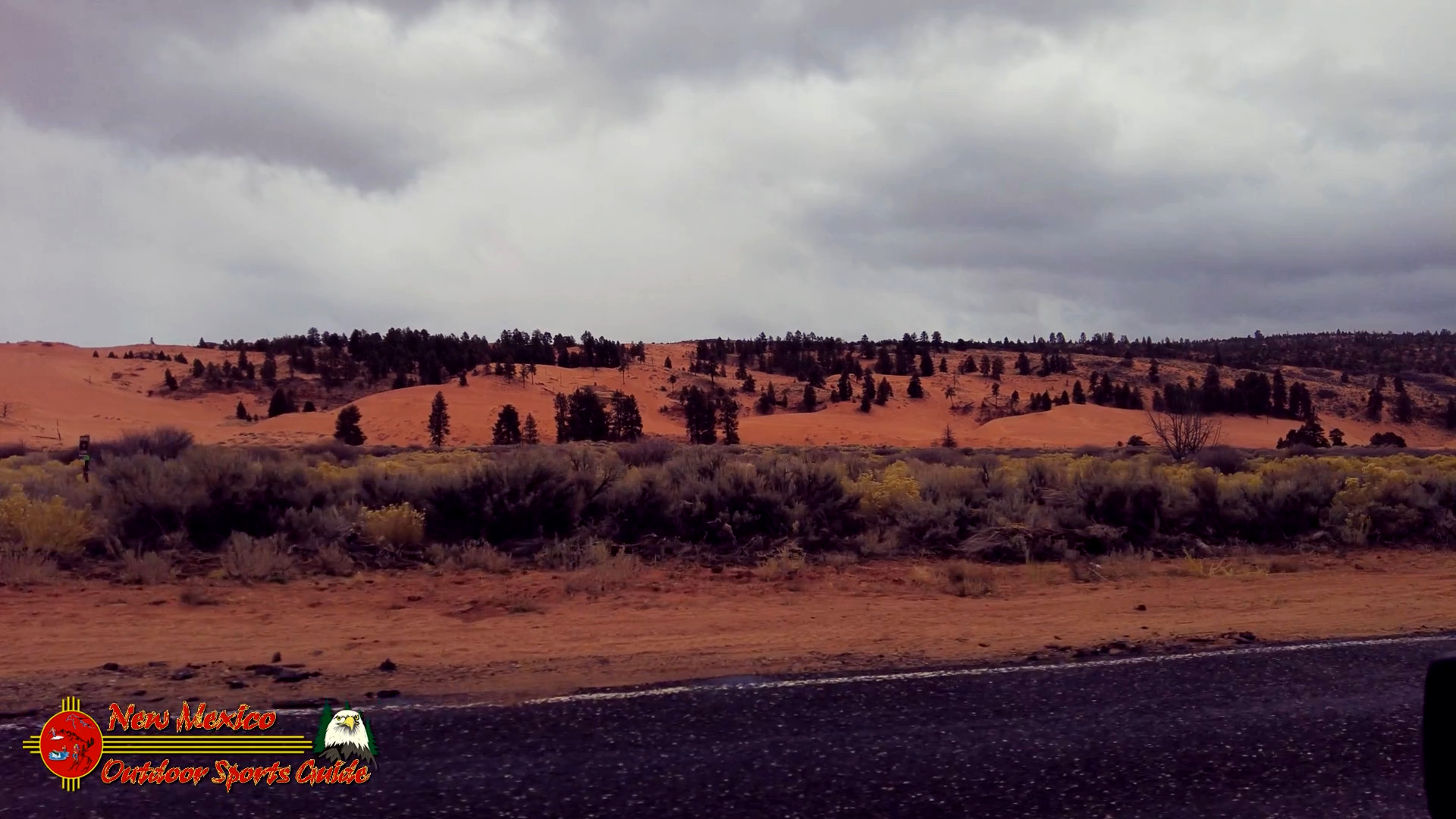 Coral Pink Sand Dunes State Park Rainy Day December 2021