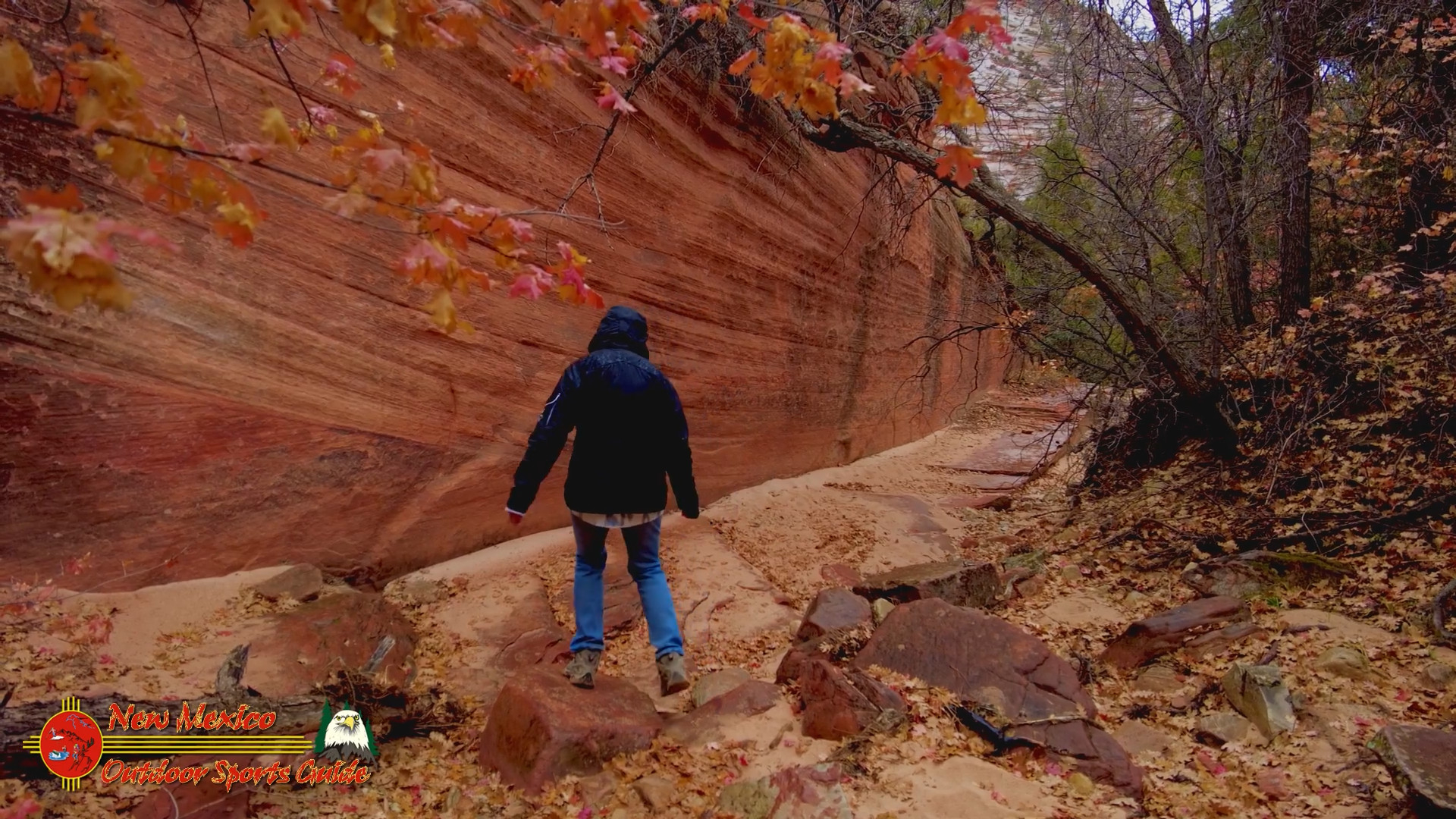 Hiking the Many Pools Trail Zion National Park December 2021 Paulette Pocket 2