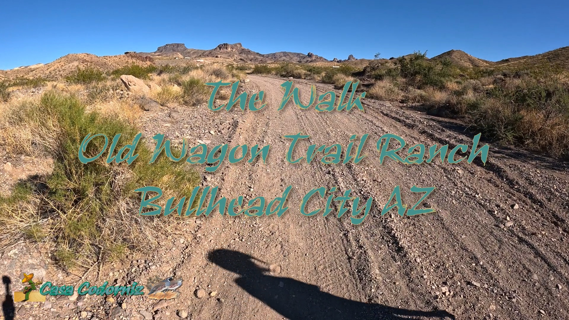 The Walk Hero 12 10-31-2023