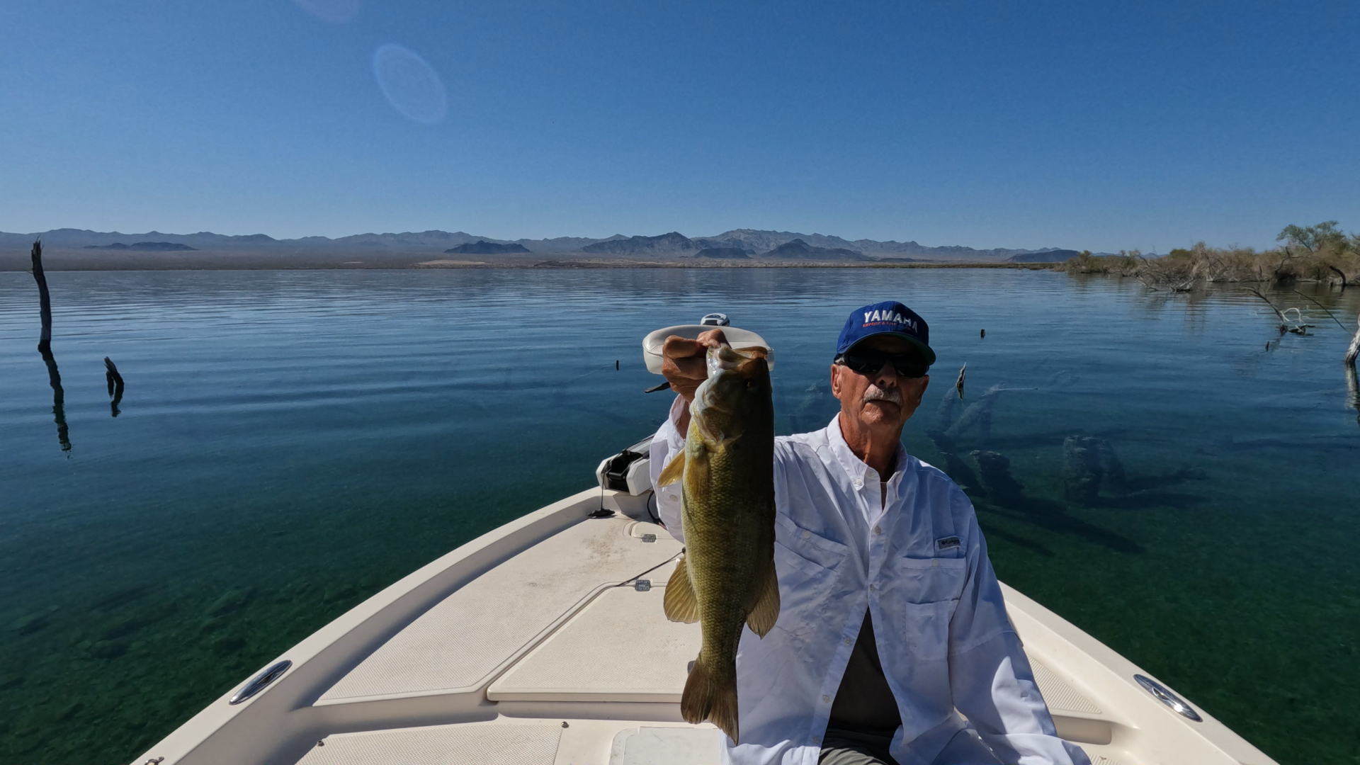 North Lake Mohave Pat Smallmouth