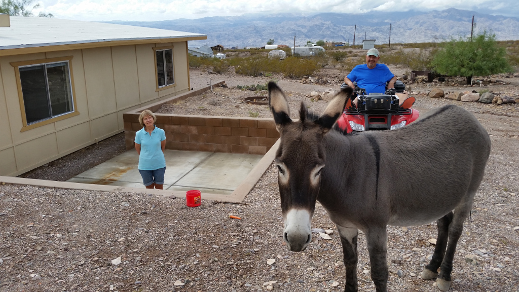 Trout Place 1015 Photos