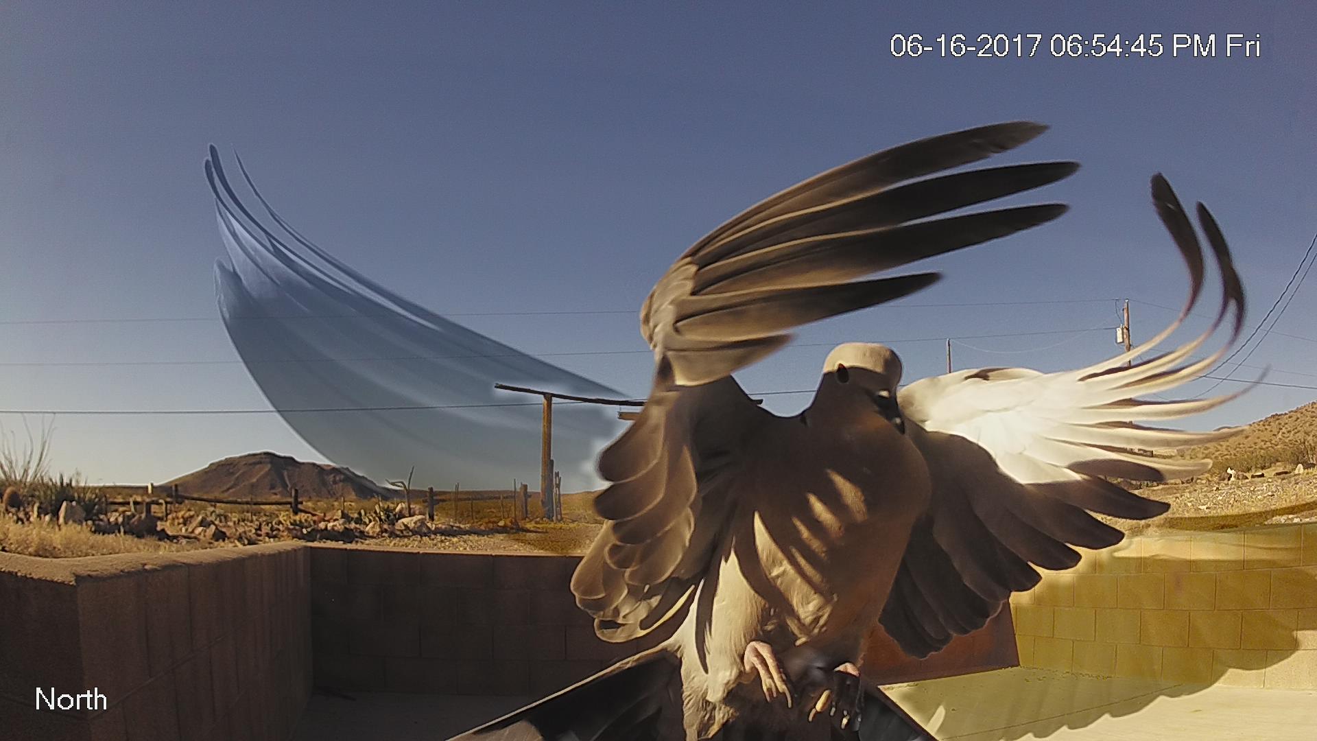 Trout Place 2017 Photos