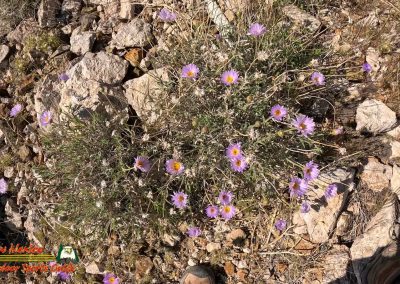 Rhino Ride to Tyro Mine 04-23-2024