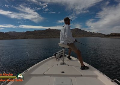 Lake Mohave Boating Action 5