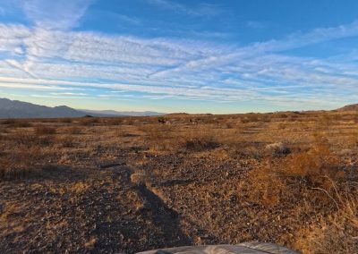 Full Moon Evening Rhino Ride Burros Old Wagon Trail Mine AcePro 11-14-2024