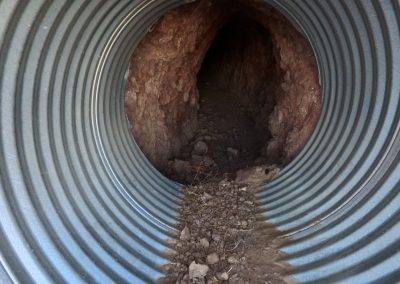 Full Moon Evening Rhino Ride Burros Old Wagon Trail Mine AcePro 11-14-2024