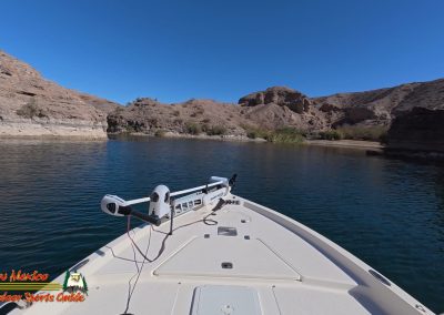 Lake Mohave Action 5