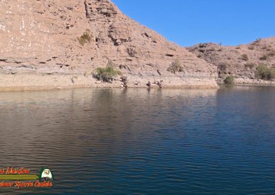 Lake Mohave Action 5 Bighorn