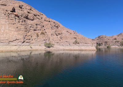 Lake Mohave Action 5 Bighorn
