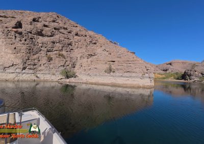 Lake Mohave Action 5 Bighorn