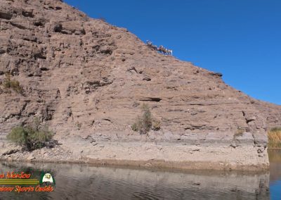 Lake Mohave Action 5 Bighorn