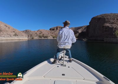 Lake Mohave Action 5 Bighorn