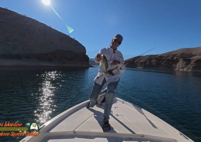 Lake Mohave Action 5 Bass